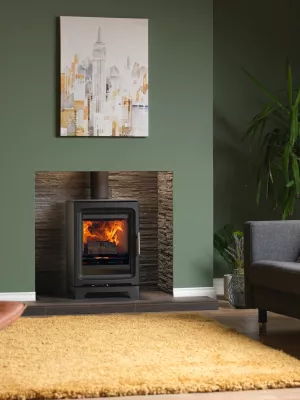 Purevision BPV5 5kW Stove