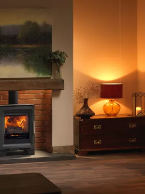 Purevision Countryman 5kW Stove