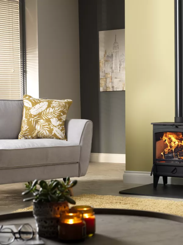 Product Go Eco High Line 5kW Plus Wide Stove Image